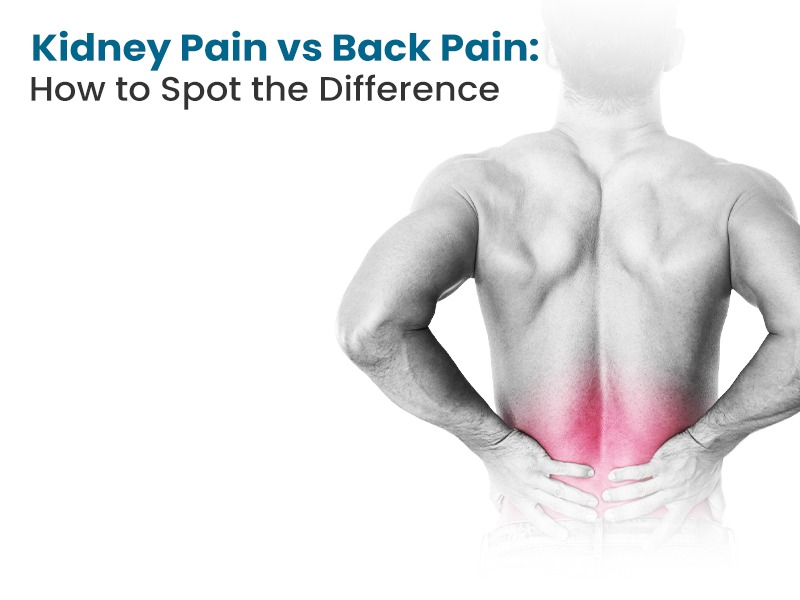 Kidney Pain vs Back Pain: How to Spot the Difference